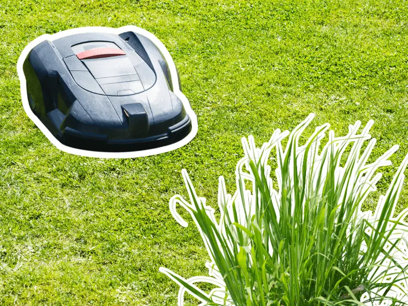 robot lawn mower image