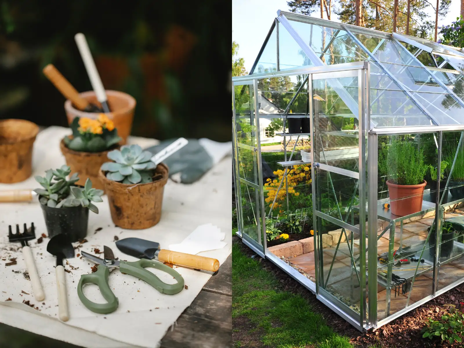 Gardening tools on table and greenhouse split screen image